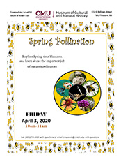 Spring Pollination Public Program